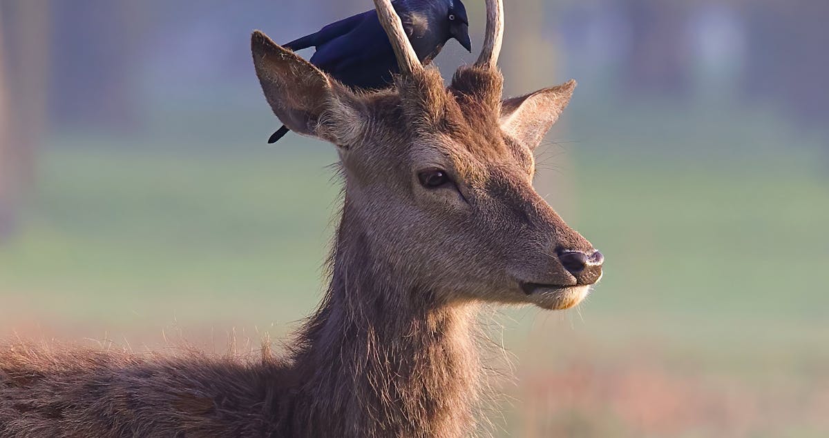 3. What is the most common mistake that stalls a side hustle’s growth?