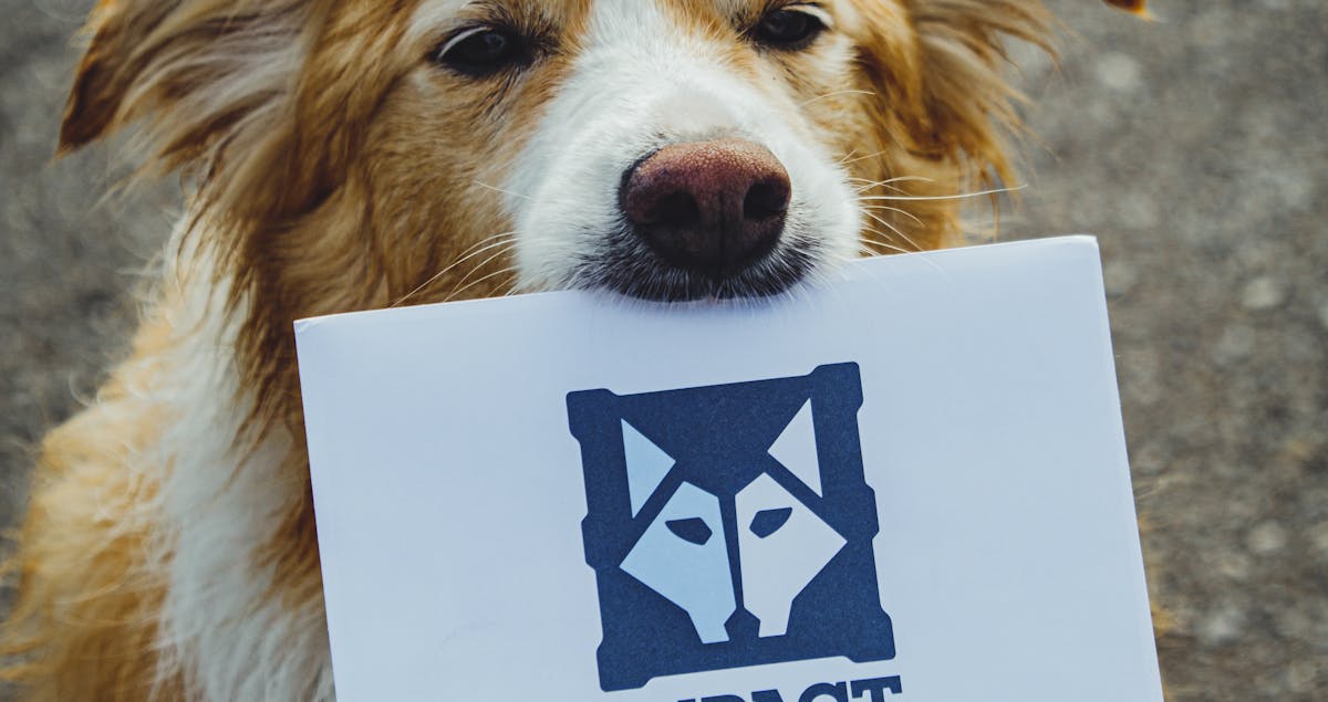 6️⃣ Measure Loyalty Impact and Iterate