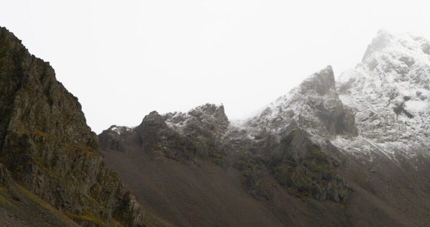 Breaking: Global Climate Summit Sparks Bold Commitments to Net Zero