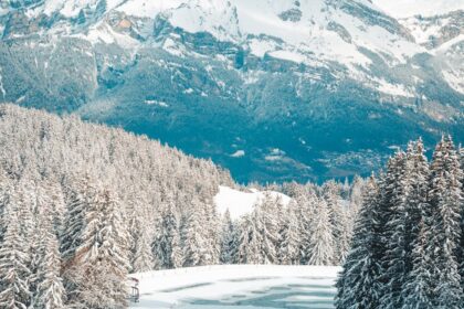 Elevate Your Business: 7 Secrets to Crafting a Magnetic Brand Identity