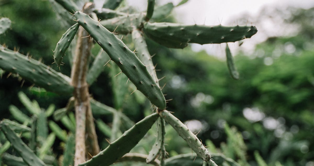 Groundbreaking Study Reveals How Climate Change is Accelerating Urban Heat Islands by 2025