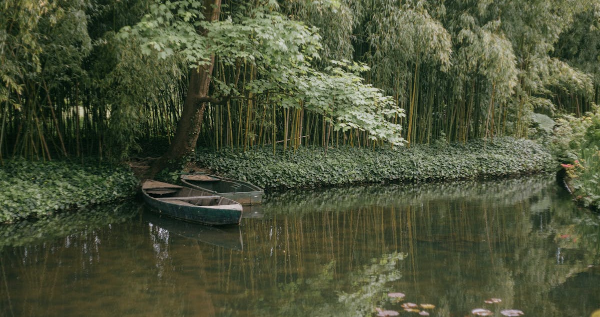 Monetization Playbook