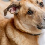 Smart Home Upgrades That Boost Property Value (Without Breaking the Bank)