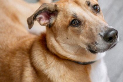 Smart Home Upgrades That Boost Property Value (Without Breaking the Bank)