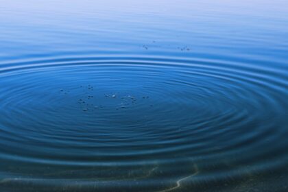 Breaking Down the Ripple Effect: How One Local Innovation Sparked a Global Tech Boom