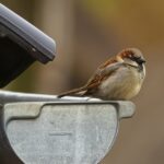 From Gutter to Gold: How an 18‑Year‑Old Refugee Built a $10M Fashion Empire in Five Years