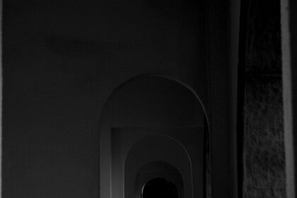 Unleashing the Visionary Within: 7 Habits of Transformative Guides