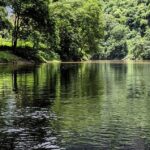 Unlock the Hidden Gems of High‑Yield Growth: A Beginner’s Roadmap to Smart Investments 🚀