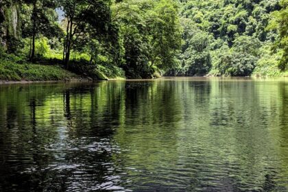 Unlock the Hidden Gems of High‑Yield Growth: A Beginner’s Roadmap to Smart Investments 🚀