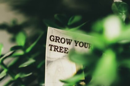 Smart Strategies to Grow Your Portfolio in 2026: Insider Tips Every Investor Swears By