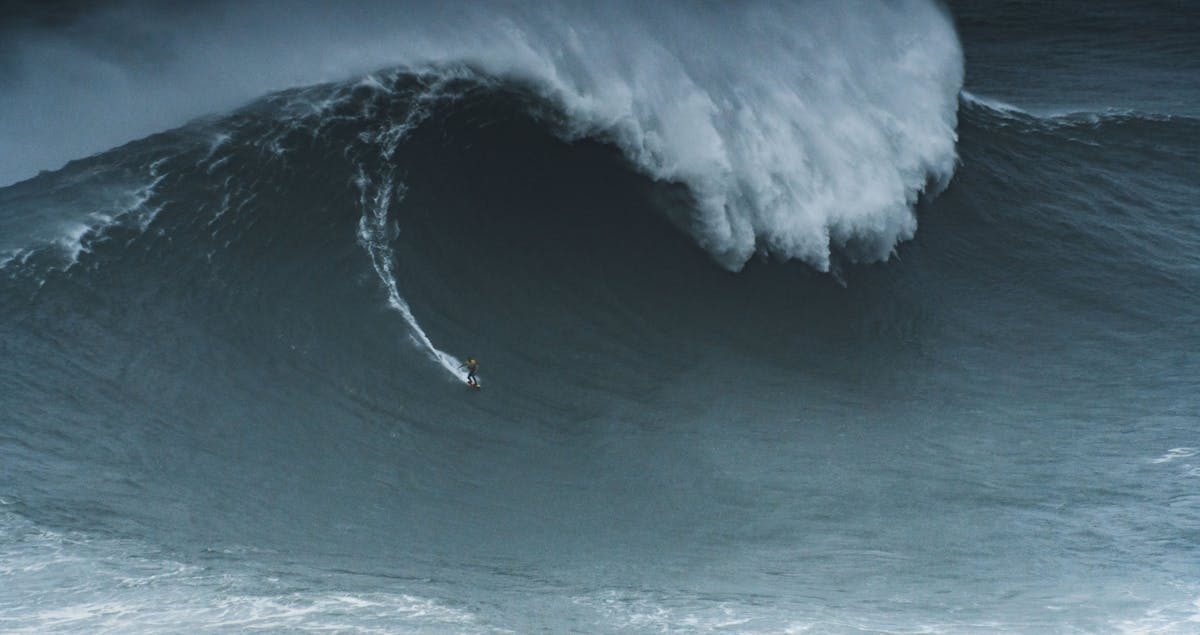 The Next Big Wave: How AI Is Revolutionizing the Future of Work and Creativity in 2026‎